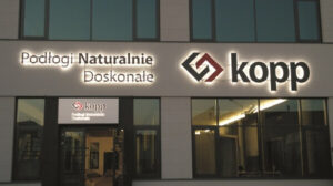 literypodswietlane_01